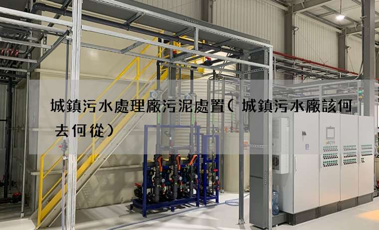 城鎮污水處理廠污泥處置(城鎮污水廠該何去何從)